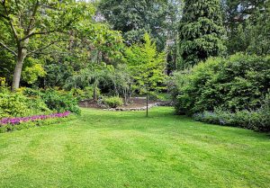 Optimiser l'expérience du jardin à Le Gault-Saint-Denis